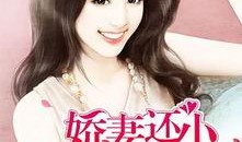 吃瓜总裁娇妻小说免费阅读,豪门宠妻日常