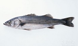 鳕鱼最新爆料图片大全,高清美图大集合，带你领略海洋美食风采