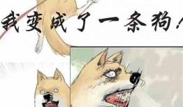 淡定吃瓜小说免费阅读,揭秘小说世界中的轻松阅读之旅