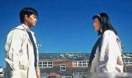 西安饭店爆料事件视频播放,服务细节曝光引关注