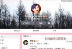 卓伟爆料刘涛杨颖视频,娱乐圈再掀风波