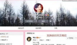 卓伟爆料刘涛杨颖视频,娱乐圈再掀风波