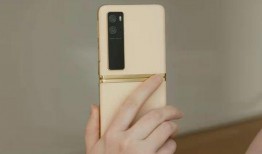 最新手机入网爆料