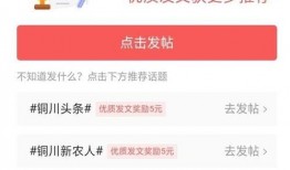 郑州头条最新爆料,揭秘重大事件背后真相！