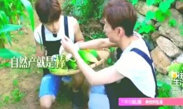 吃瓜星娱乐趣人趣事儿,揭秘明星们的欢乐时光