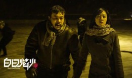 电影白日焰火在线观看,探寻人性深渊的悬疑之旅