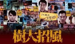树大招风在线观看国语,揭秘香港黑帮风云录