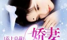 吃瓜总裁娇妻小说免费阅读,豪门宠妻日常