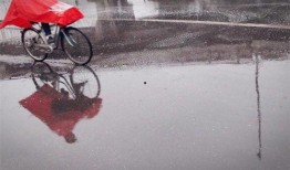 娱乐吃瓜酱第七天,揭秘娱乐圈幕后故事，带你领略明星真实生活