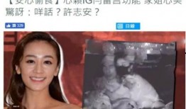三姐被打爆料视频大全