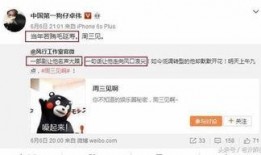 卓伟爆料沈星辰视频大全,视频大全揭露娱乐圈风云变幻