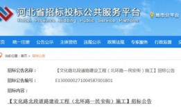 河北省委爆料最新消息,揭开重大事件背后真相