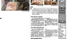 最新时政爆料新闻,最新热点事件深度解析