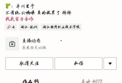 在景区吃瓜的网红叫什么,网红吃瓜达人带你领略瓜界风采