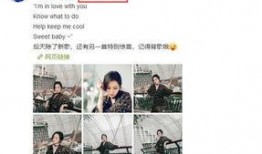 娱乐圈爆料专用音乐视频,音乐视频背后的惊人爆料