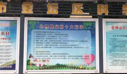 常州小学生爆料事件最新,揭开校园霸凌背后的真相