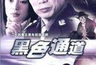 西藏警察爆料案件视频大全,视频大全背后的真相与挑战