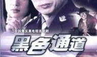 西藏警察爆料案件视频大全,视频大全背后的真相与挑战
