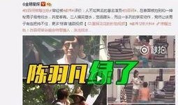 二姐被捉爆料视频播放,真相究竟如何？