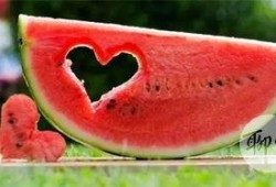 吃瓜官网免费,免费畅享美食资讯的乐园