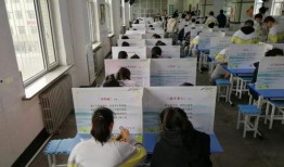 遂宁学校食堂爆料案件视频,食品安全问题引发社会关注