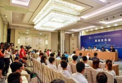 海南最新事件爆料新闻发布会,新闻发布会聚焦焦点揭晓