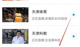 天津二台直播在线观看,天津二台精彩节目，一键观看不容错过