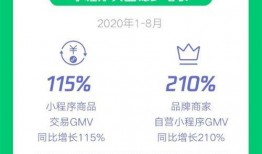 最新爆料专刊小程序,专刊小程序深度解析