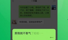 微信免费吃瓜最新入口链接,一键解锁瓜界狂欢