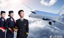 长安航空爆料事件视频完整版,揭秘完整版视频背后的真相与争议